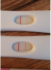 upload_2019-2-27_9-35-51.png