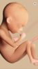 79E95076-7812-4B8A-889C-F38A8D28834F.png