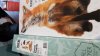 IMG-20190302-WA0034.jpeg