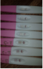 upload_2019-3-3_10-45-13.png