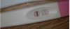 upload_2019-3-3_10-46-46.png