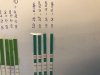2332C7EE-29C0-471C-960A-9C6354ED9925.jpeg