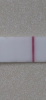 53824E48-A008-4E6C-96C6-729026076029.png