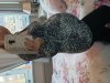 20190307_173141.jpg