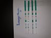 20190308_063329.jpg