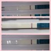 Collage 2019-03-08 18_33_38.jpg