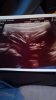 IMG-20190311-WA0013.jpeg