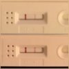 photocollage_201931372642199.jpg
