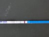 DSC07328.jpg