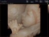 PETRA&YANNICK_0086.jpg