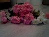 TPhoto_00044.jpg