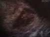 20130125_083422.jpg