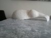 2013-01-25-235.jpg