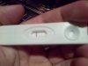 IMG-20130129-00087.jpg