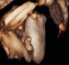 BabyNelly_0016.jpg
