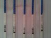 20130129_122145.jpg