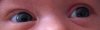 eyes.jpg