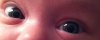 eyes2.jpg