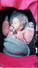 upload_2019-3-18_10-58-4.png
