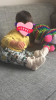 C6D736D7-2EF3-4056-9D71-0DC0F4A7510C.png