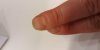 20190319_170342.jpg