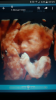 Screenshot_2019-03-20-09-29-43.png