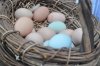 applefarmeggs.jpg