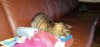 IMG-20190321-WA0000.jpeg