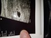 20190321_111401.jpg