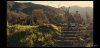 Screenshot_20190322-061109_YouTube.jpg