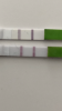 7197392E-1658-4B3C-AC33-301ACF14F8F3.png