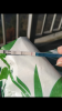 Screenshot_20190327-111339.png
