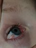 20190327_190323.jpg