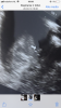 1EFE3D9D-63DE-48F5-95DF-AE78190085C7.png