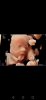 Screenshot_20190329_000329_com.android.gallery3d.jpg
