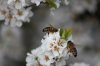 IMG_9450.jpg