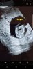 IMG-20190330-WA0013.jpg
