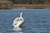 DSC_0526.jpg