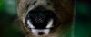 8ACC02DB-3D7E-4917-95AB-BC6DD4654AF6.jpeg