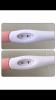 CDE3F75C-700A-42A4-A422-BEF4E0EAE924.png