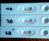 _20190408_205602.JPG
