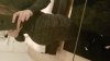 20190408_215419.jpg