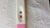 IMG-20190409-WA0003.jpeg