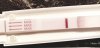 20190410_092031.jpg