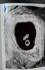 1203559009.png