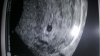 20190411_125417.jpg