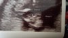 IMG-20190412-WA0016.jpeg