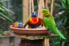 DSC_7804-1.jpg