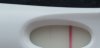 20190416_101041.jpg