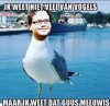FB_IMG_1552114089904.jpg